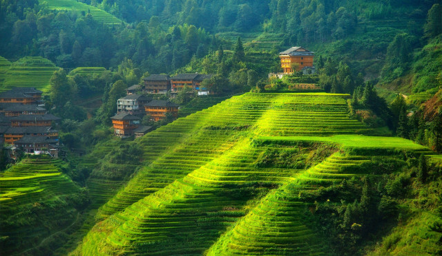 Green hillside houses trees ecological free wallpaper - medium preview image