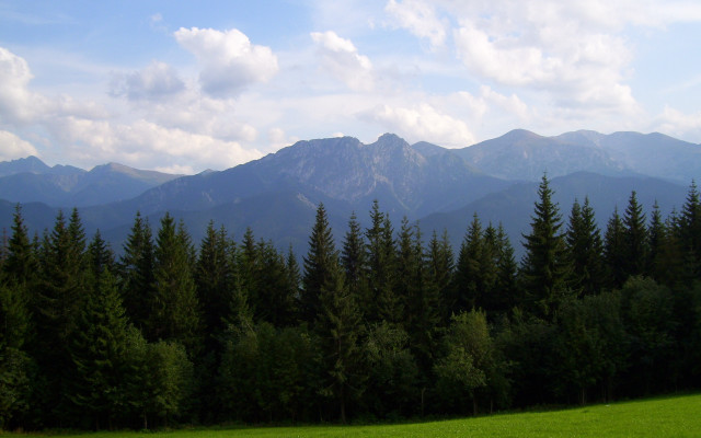 Forest mountains clouds beach horizon free wallpaper - medium preview image