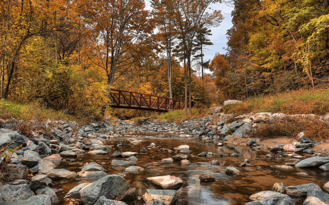 Small bridge stream forest rocks free wallpaper - medium preview image