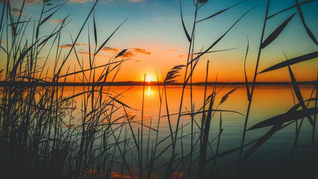 Sunset lake tallgrass orange sky #3 free wallpaper - medium preview image