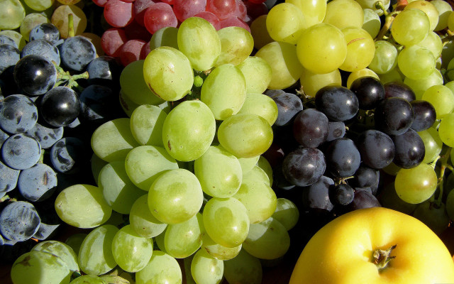 London market fall arcimboldo fruit free wallpaper - medium preview image