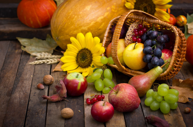 Harvest fall vibrant stilllife fruit free wallpaper - medium preview image