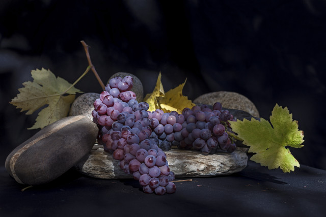 Grapes wooden board leafy plant free wallpaper - medium preview image