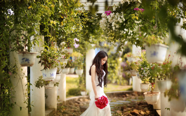Woman white dress red bouquet free wallpaper - medium preview image