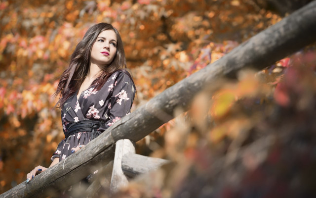 Woman tree autumn kimono bokeh free wallpaper - medium preview image