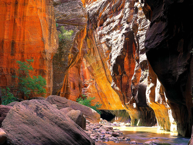 Narrow river canyon rocks trees free wallpaper - medium preview image