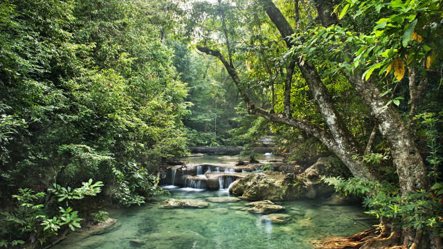 River forest waterfall nature jungle free wallpaper - medium preview image