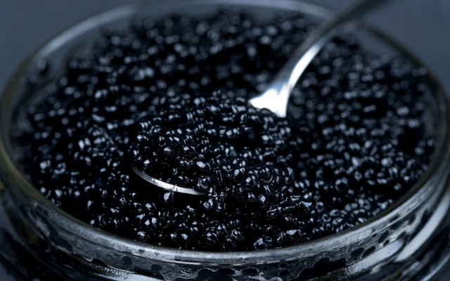 Spoon bowl black cavias table free wallpaper - medium preview image