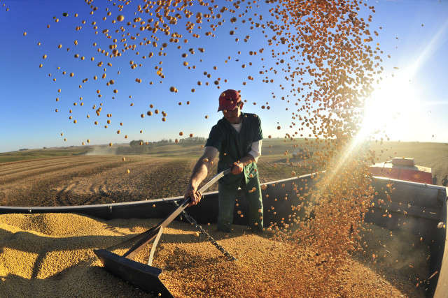 Man scooping sand autumn city free wallpaper - medium preview image