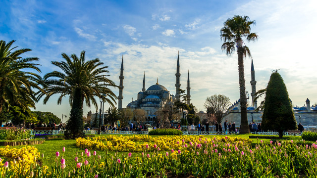 Blue dome palm garden city free wallpaper - medium preview image