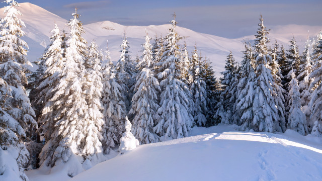 Snowy mountain forest lake winter #2 free wallpaper - medium preview image