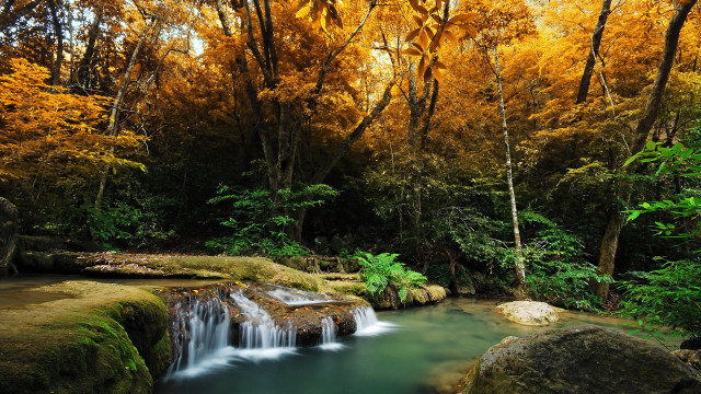Small waterfall forest rocks green free wallpaper - medium preview image