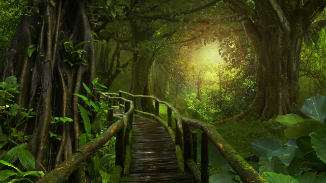 Wooden bridge green forest light free wallpaper - medium preview image