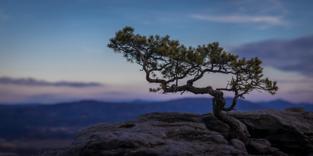 Pine tree rock mountains sunset free wallpaper - medium preview image