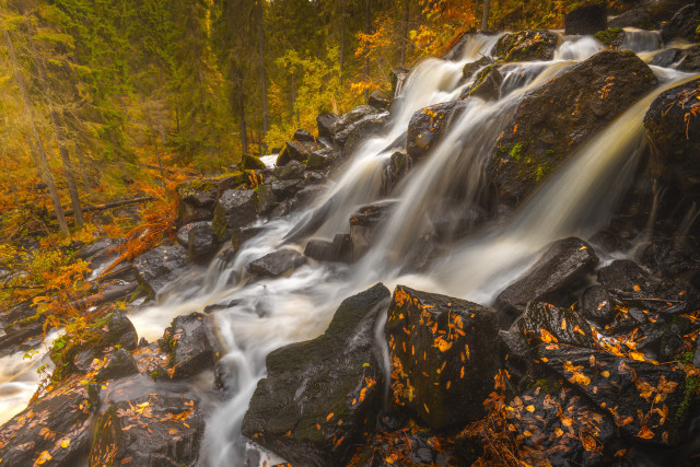 Waterfall forest autumn leaves nature free wallpaper - medium preview image