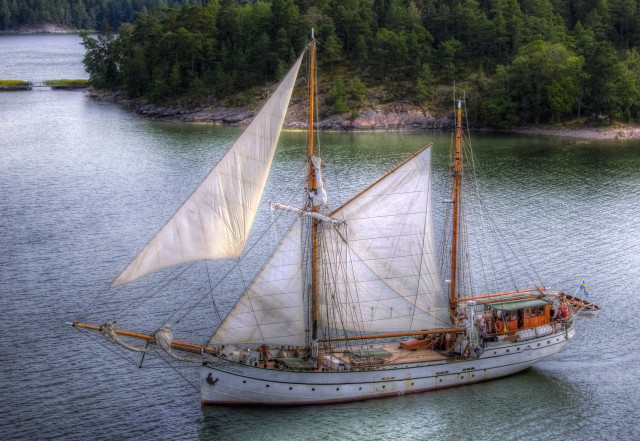 Sailboat lake forest people trees free wallpaper - medium preview image