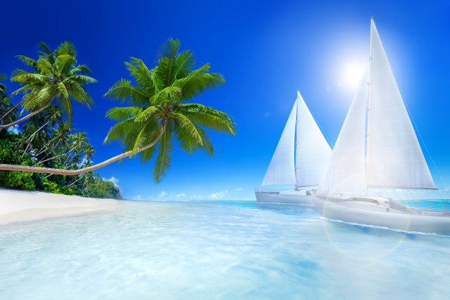 Tropical beach sailboat palm trees free wallpaper - medium preview image