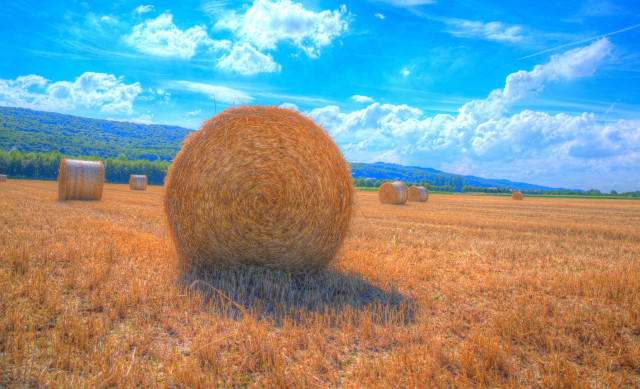 Hay bales field blue sky free wallpaper - medium preview image