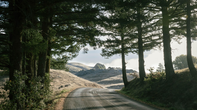 Road trees hill clouds nature free wallpaper - medium preview image