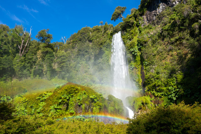 Waterfall rainbow trees nature matte #2 free wallpaper - medium preview image