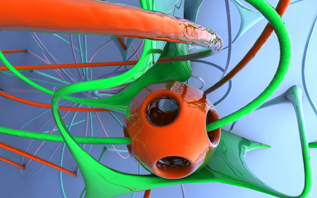 Fish pond plant raytraced c4d free wallpaper - medium preview image