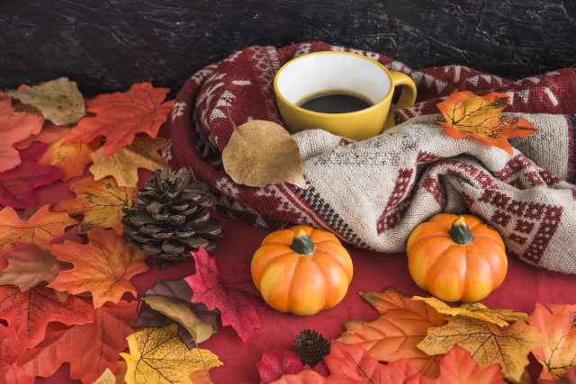 Coffee leaves scarf pinecone autumn free wallpaper - medium preview image