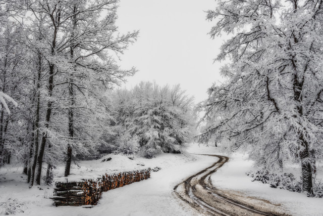 Snowy forest road fence bench free wallpaper - medium preview image