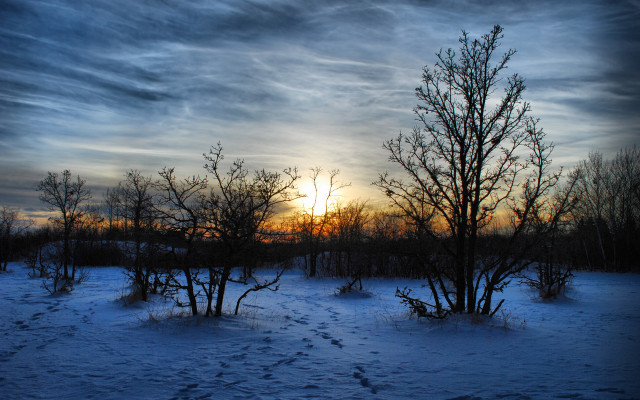 Sunset forest lake mountains beach free wallpaper - medium preview image