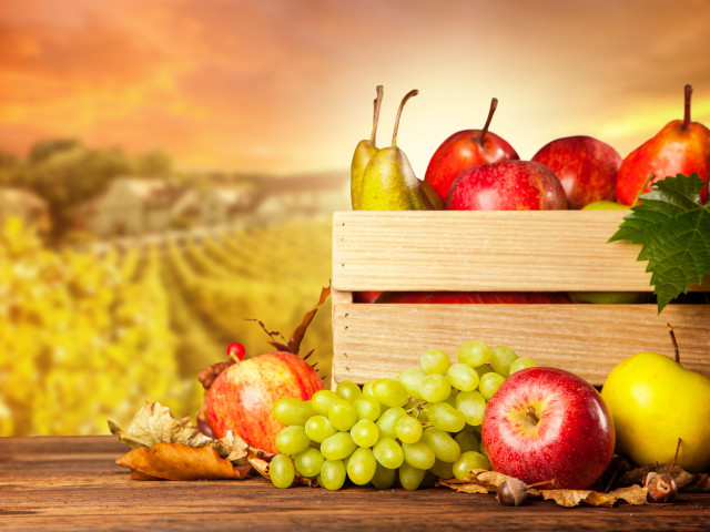 Wooden crate fruit vineyard autumn free wallpaper - medium preview image
