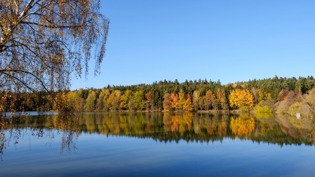 Autumn lake forest impressionist sunset free wallpaper - medium preview image