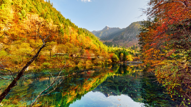 River mountain trees autumn leaves free wallpaper for desktop - medium preview image