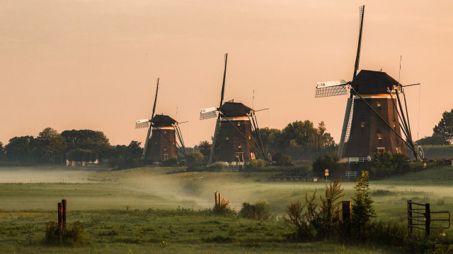 Windmills fog trees dusk landscape free wallpaper - medium preview image
