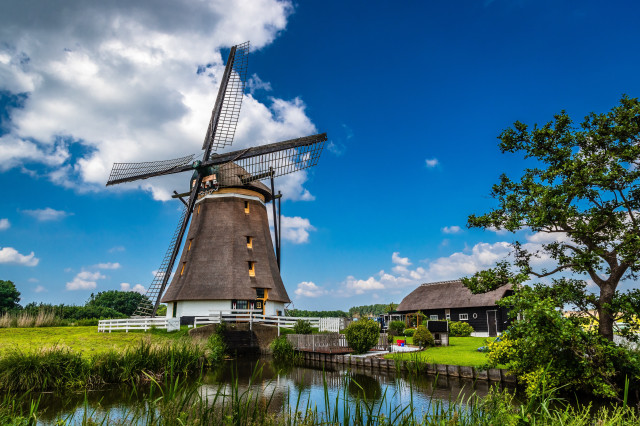Windmill field river house landscape free wallpaper - medium preview image