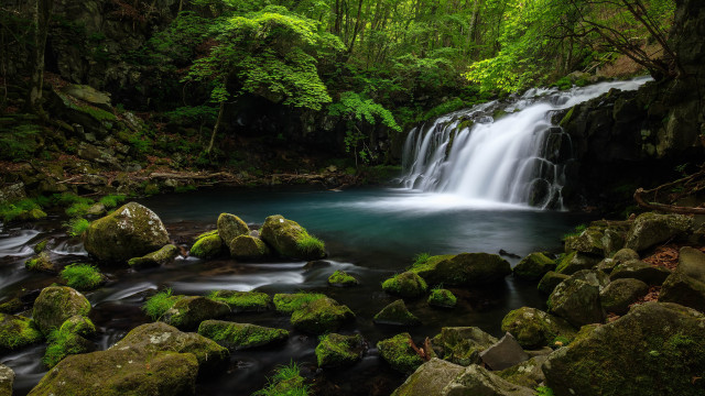 Waterfall forest mossy rocks stream #6 free wallpaper - medium preview image