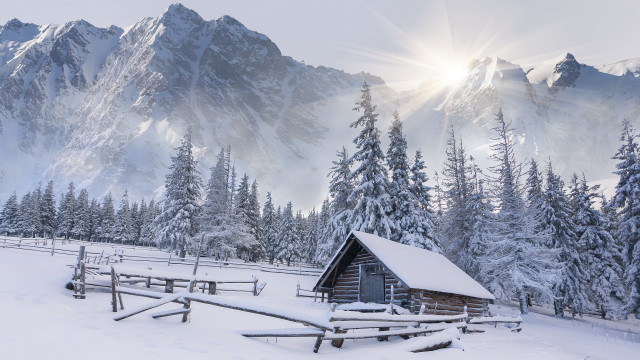 Mountain cabin snow forest sunbeam free wallpaper - medium preview image