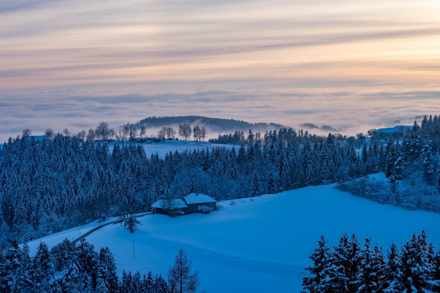 Snowy mountain house forests foggy free wallpaper - medium preview image