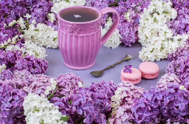 Purple mug macaroons flower bouquet free wallpaper - medium preview image