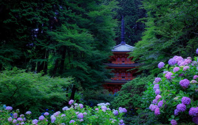 Pagoda forest purple flowers green free wallpaper - medium preview image