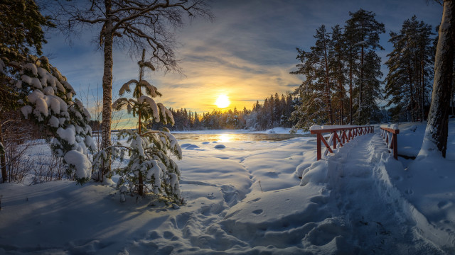 Snowy path lake sunset forest free wallpaper - medium preview image