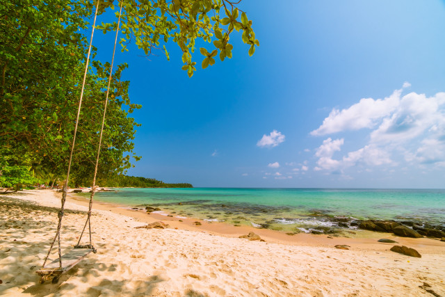 Swing beach ocean tree line free wallpaper - medium preview image