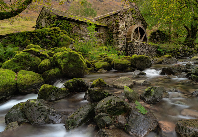 Lush green forest stream stone free wallpaper - medium preview image