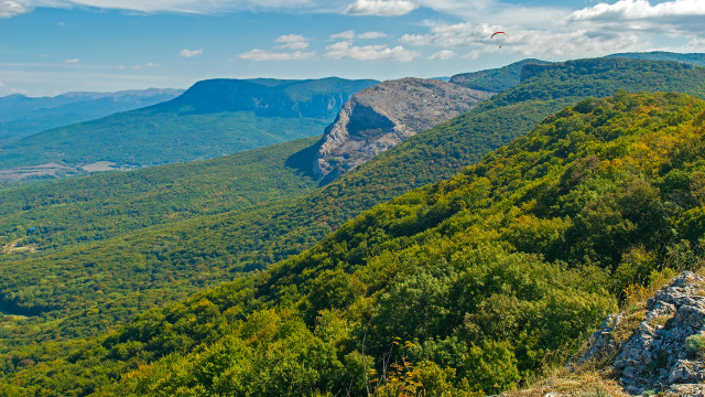 Mountain bird forest panorama sunset free wallpaper - medium preview image