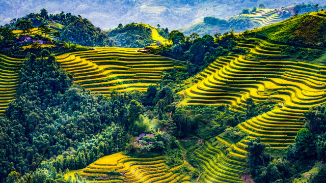 Yellow terraces valley mountains ecological free wallpaper - medium preview image