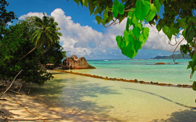Beach rock formation trees sky free wallpaper - medium preview image