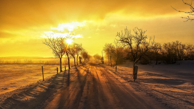 Snowy road trees sunset clouds free wallpaper - medium preview image