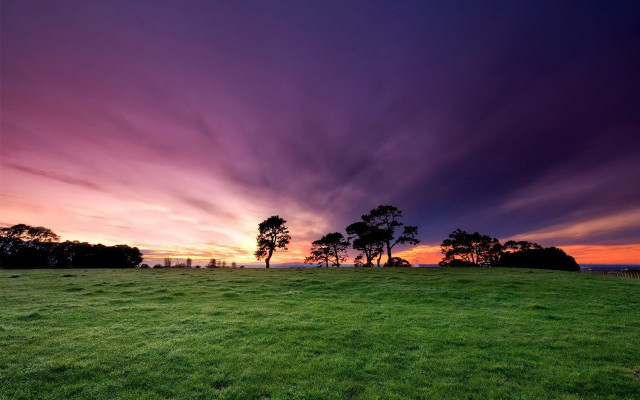 Grassy field trees sunset clouds free wallpaper - medium preview image