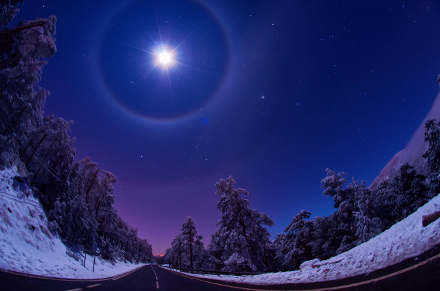 Road star trees snow moon free wallpaper - medium preview image