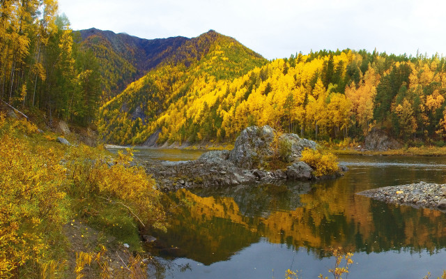Autumn river forest leaves rocks free wallpaper - medium preview image