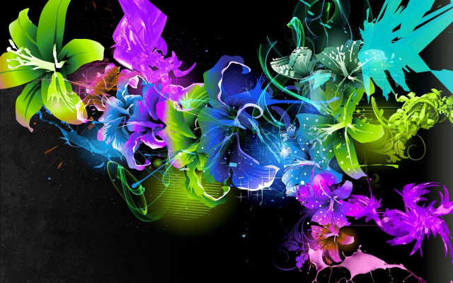 Colorful flower arrangement black background free wallpaper - medium preview image