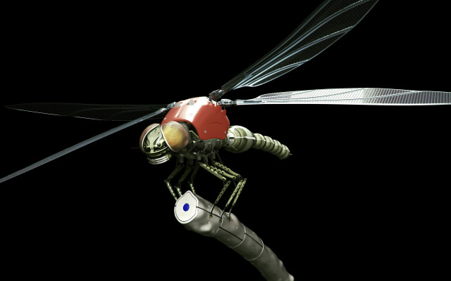 Flying insect redhead blueeyes biomachine free wallpaper - medium preview image
